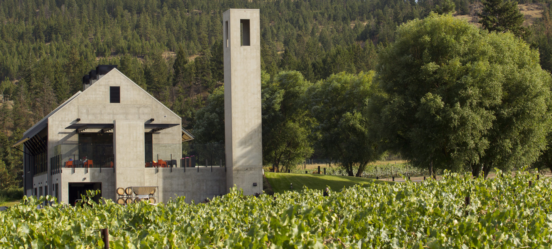 Fine wine and the Wild West Monte Creek Winery