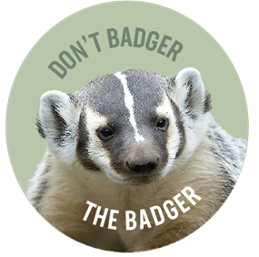 Don't Badger the Badger Badge