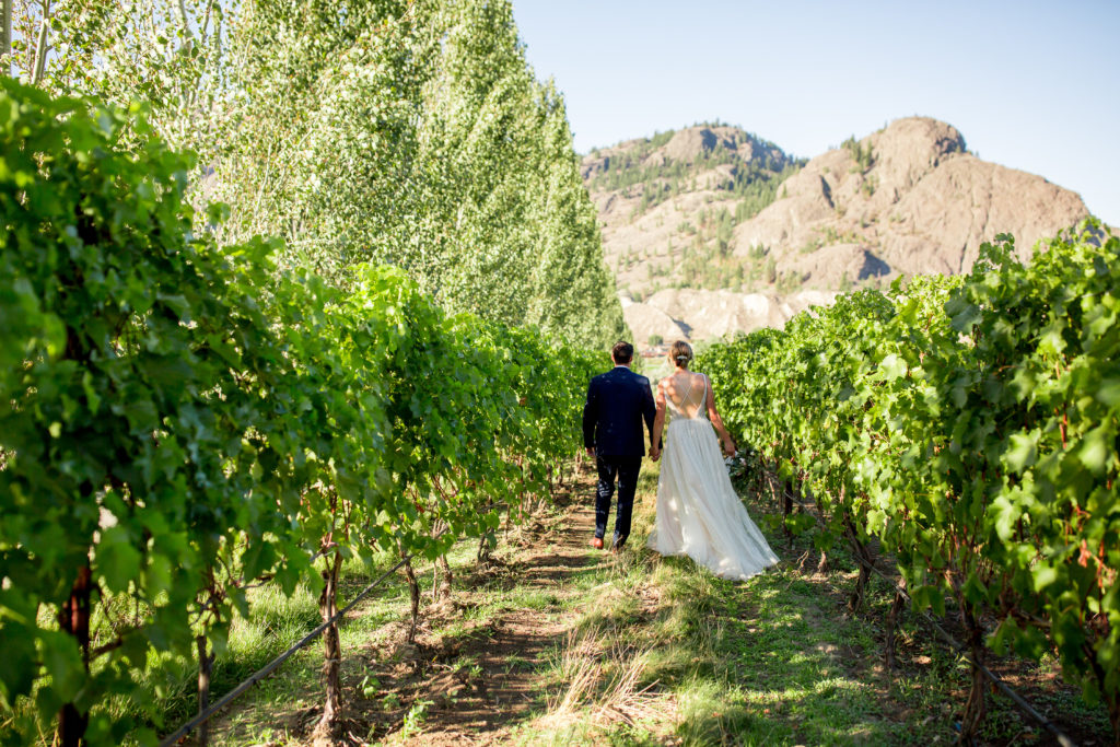 wedding photo in vineyard