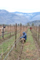 worker pruning