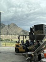 Staff working on the sorting table with Lion's Head in the background
